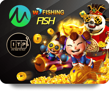 Cả bóng đá: Những điều kỳ thú về văn hóa cổ động